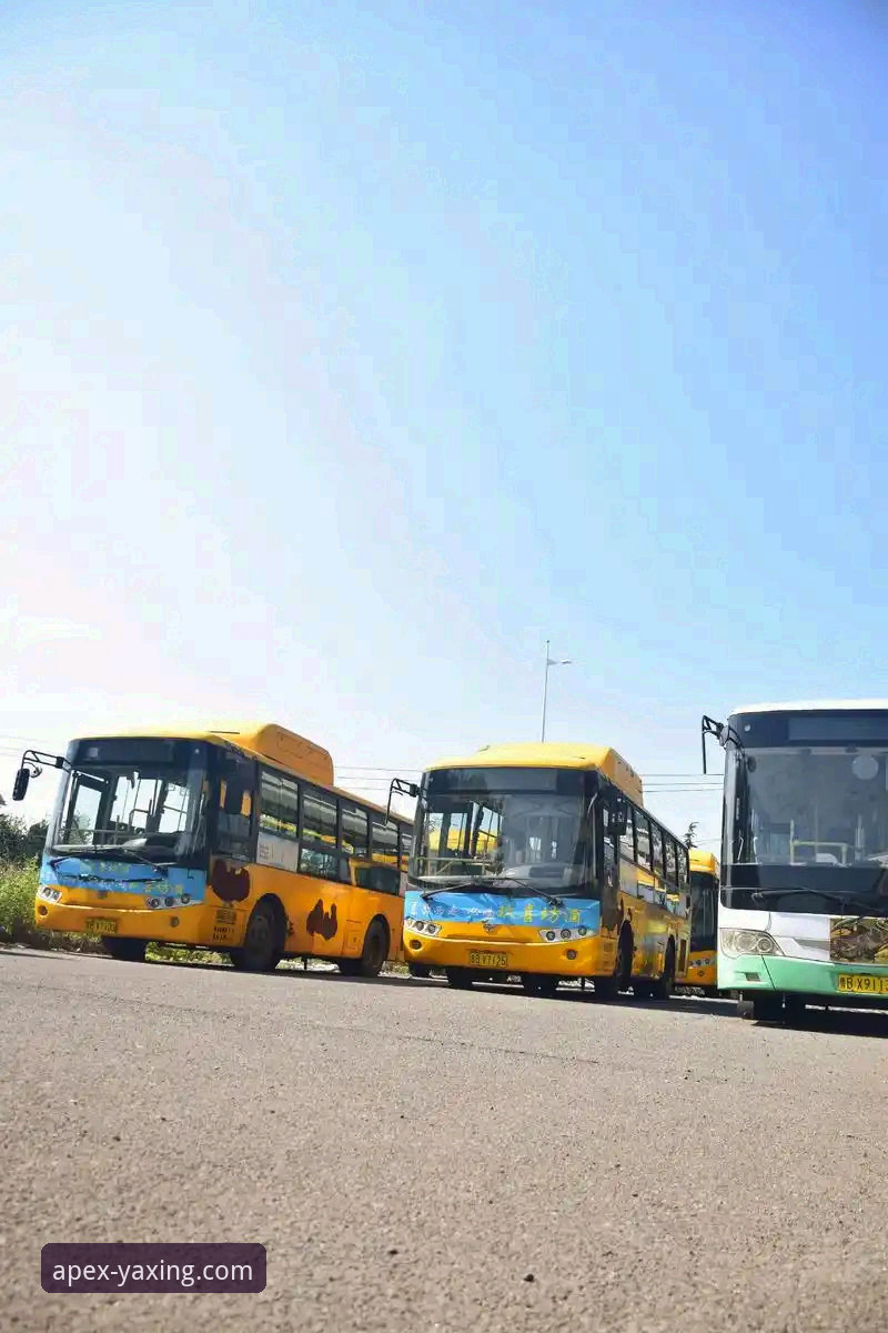 前瞻视角下的亚星客车订购实战经验：从7F3K车型解析到伙伴路径